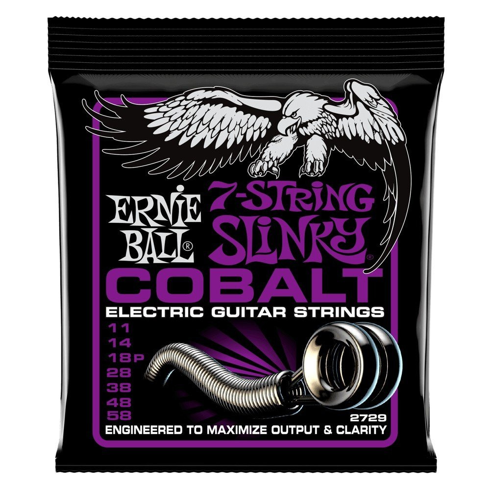 P02729 ERNIE BALL
