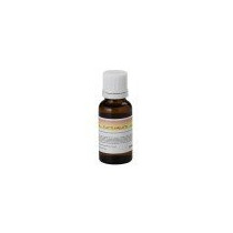 FF20ML-TUTTIFRUTTI CENTOLIGHT