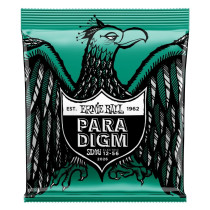 P02026 ERNIE BALL