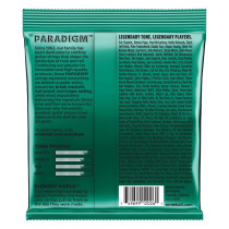 P02026 ERNIE BALL