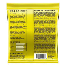 P02027 ERNIE BALL