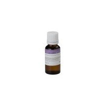 FF20ML-GRAPES SOUNDSATION
