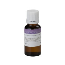 FF20ML-GRAPES SOUNDSATION