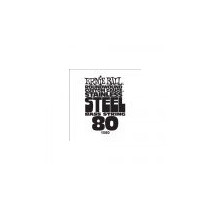 P01380 ERNIE BALL