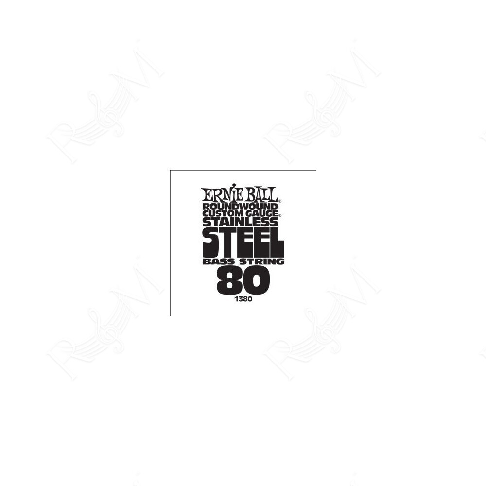P01380 ERNIE BALL