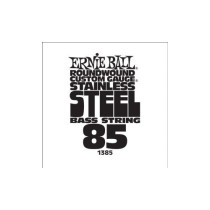 P01385 ERNIE BALL