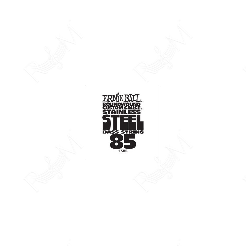P01385 ERNIE BALL
