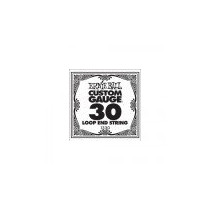 P01330 ERNIE BALL