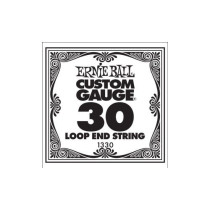 P01330 ERNIE BALL