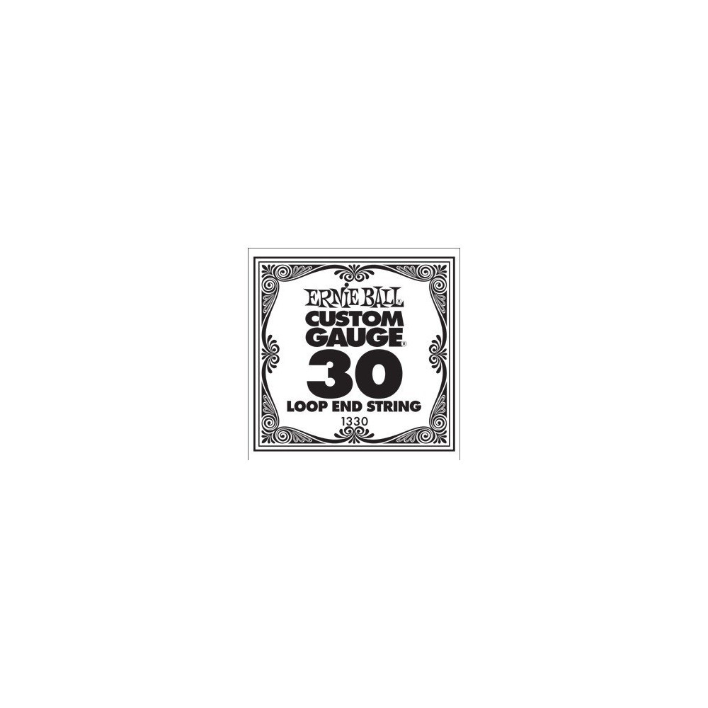 P01330 ERNIE BALL