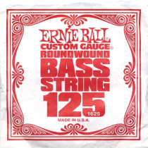 P01625 ERNIE BALL