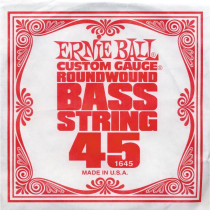 P01645 ERNIE BALL