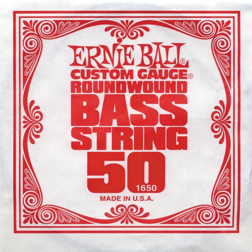 P01650 ERNIE BALL