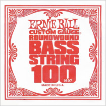 P01697 ERNIE BALL
