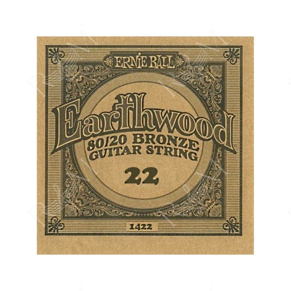 P01422 ERNIE BALL
