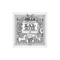 P02406 ERNIE BALL