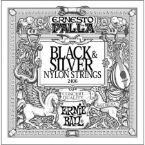 P02406 ERNIE BALL