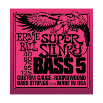 P02824 ERNIE BALL