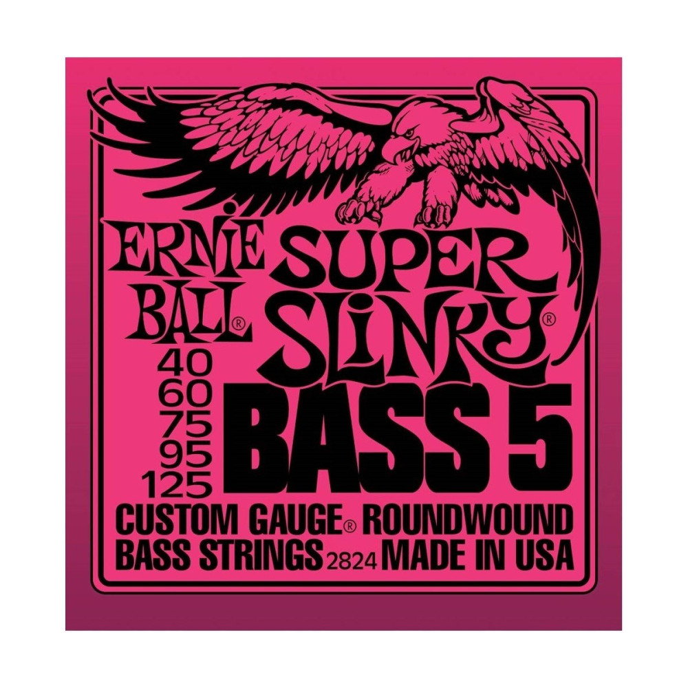 P02824 ERNIE BALL