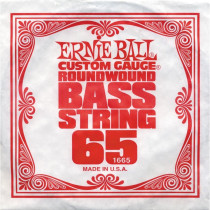 P01665 ERNIE BALL