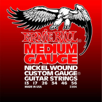 P02204 ERNIE BALL