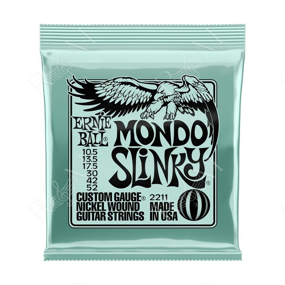 P02211 ERNIE BALL