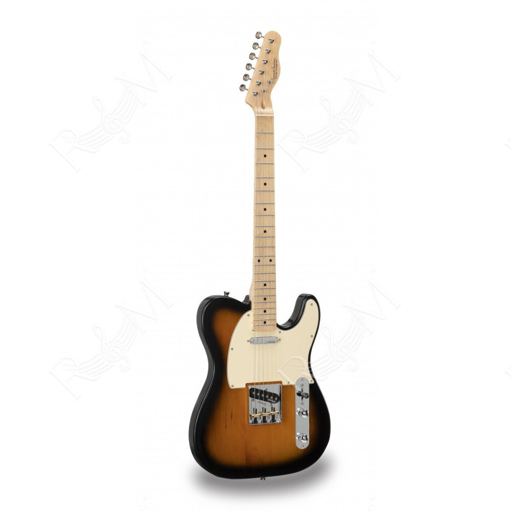 TWANGER-VINTAGE PRO-M 2TS SOUNDSATION
