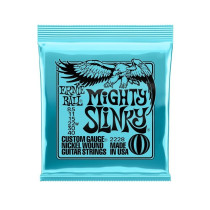 P02228 ERNIE BALL