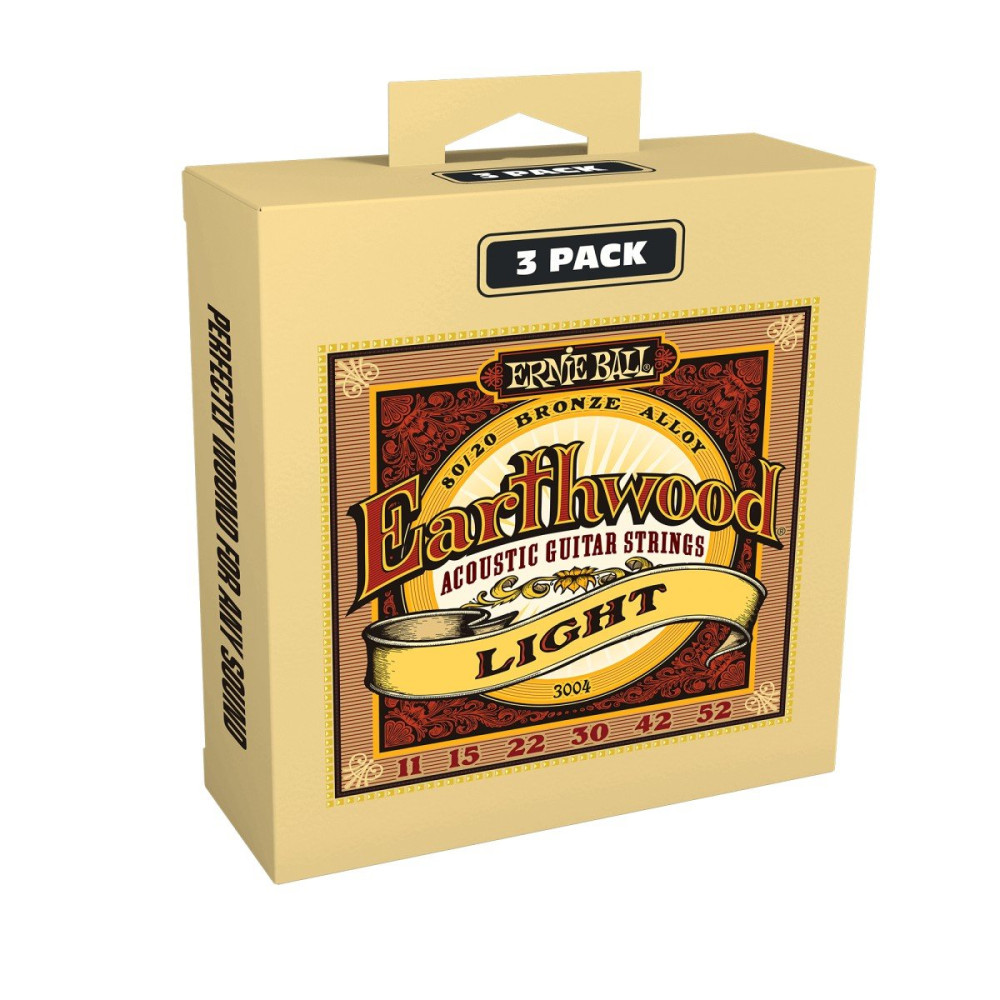 P03004 ERNIE BALL