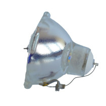 2R-LAMP SOUNDSATION