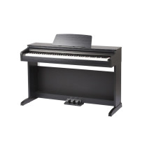 DP260 MEDELI