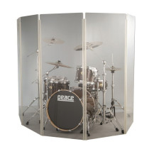 DS-1 PEACE