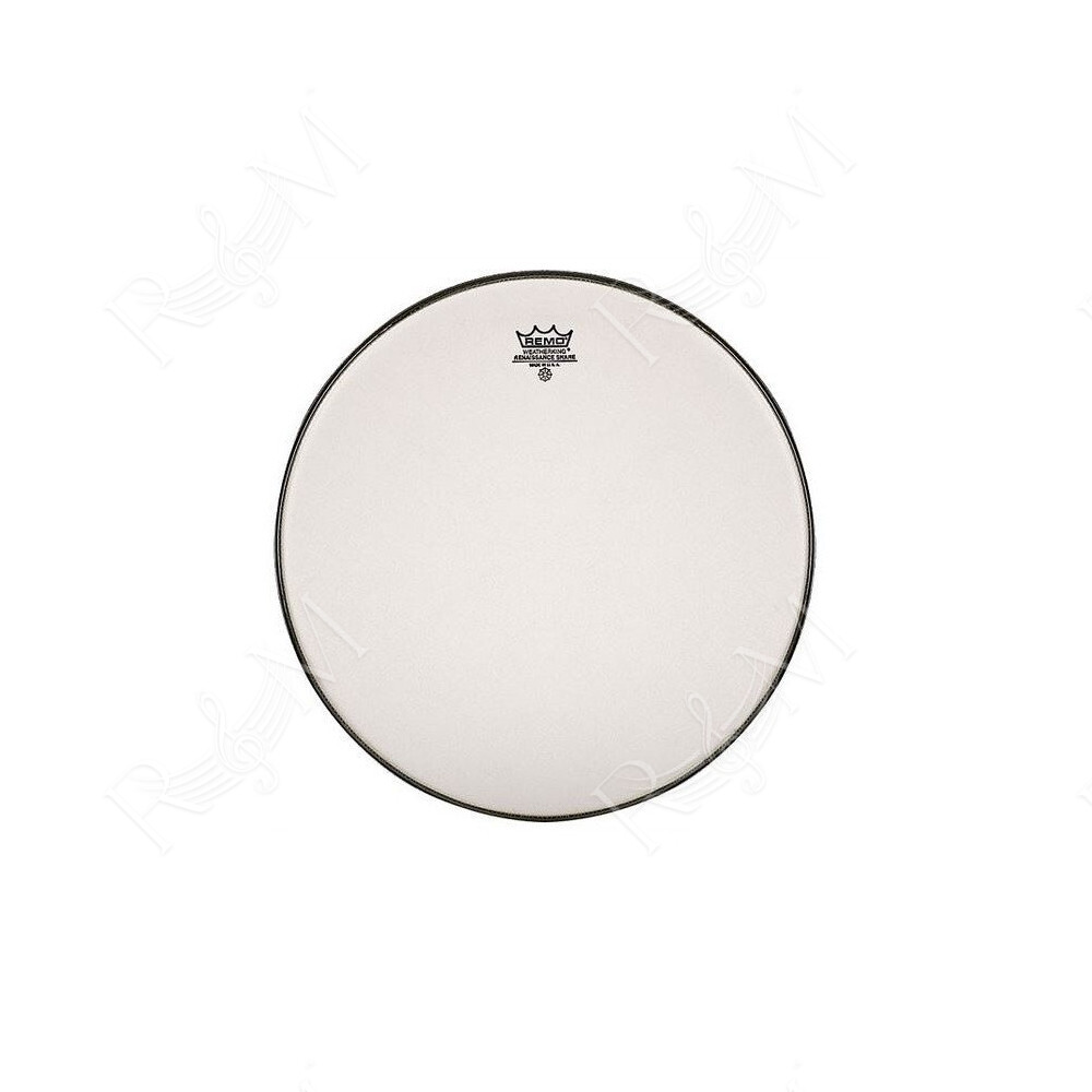 SA-0010-SS- REMO