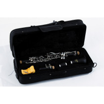SCL-11 SOUNDSATION