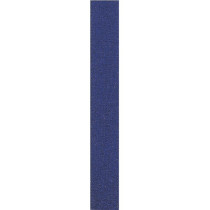 APFW-4 D'ANDREA
