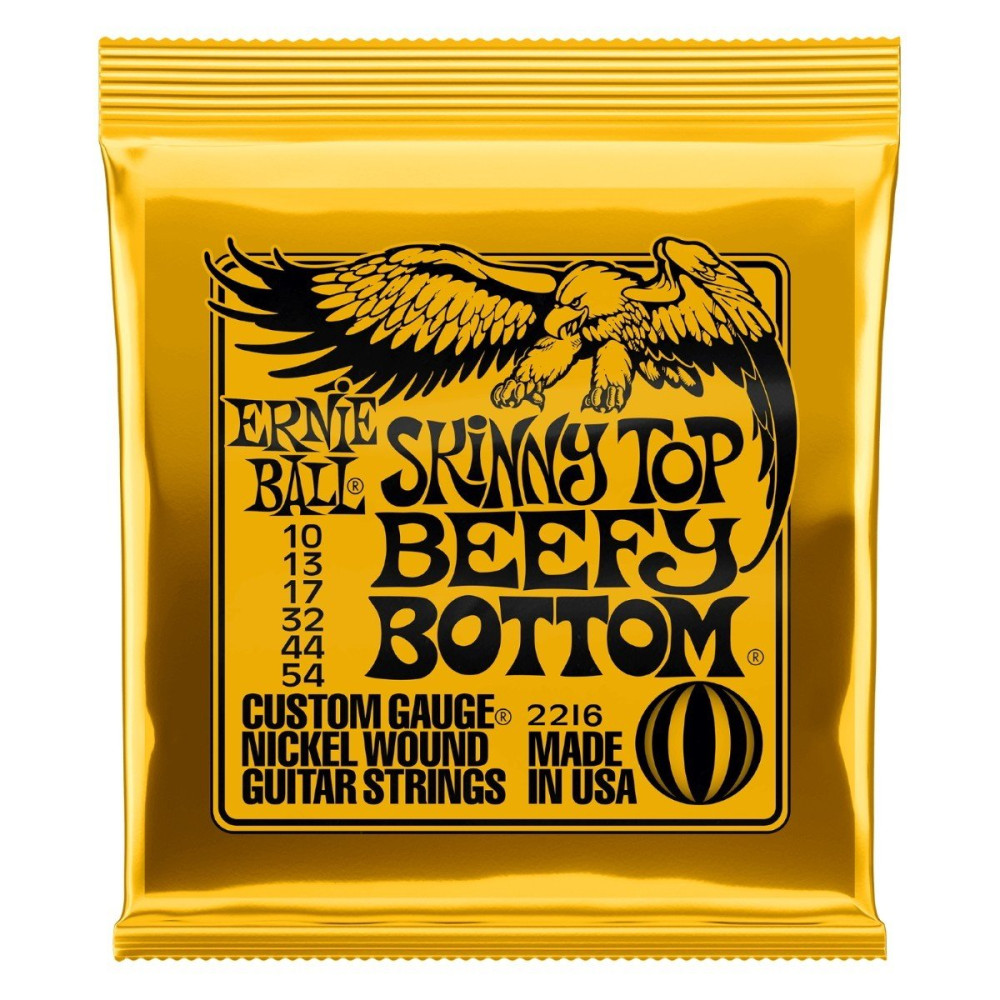 P02216 ERNIE BALL