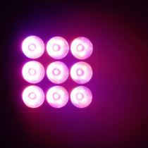 Cameo FLOOD 600 IP65