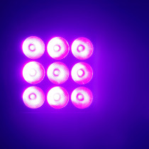 Cameo FLOOD 600 IP65