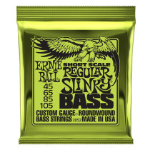 P02852 ERNIE BALL