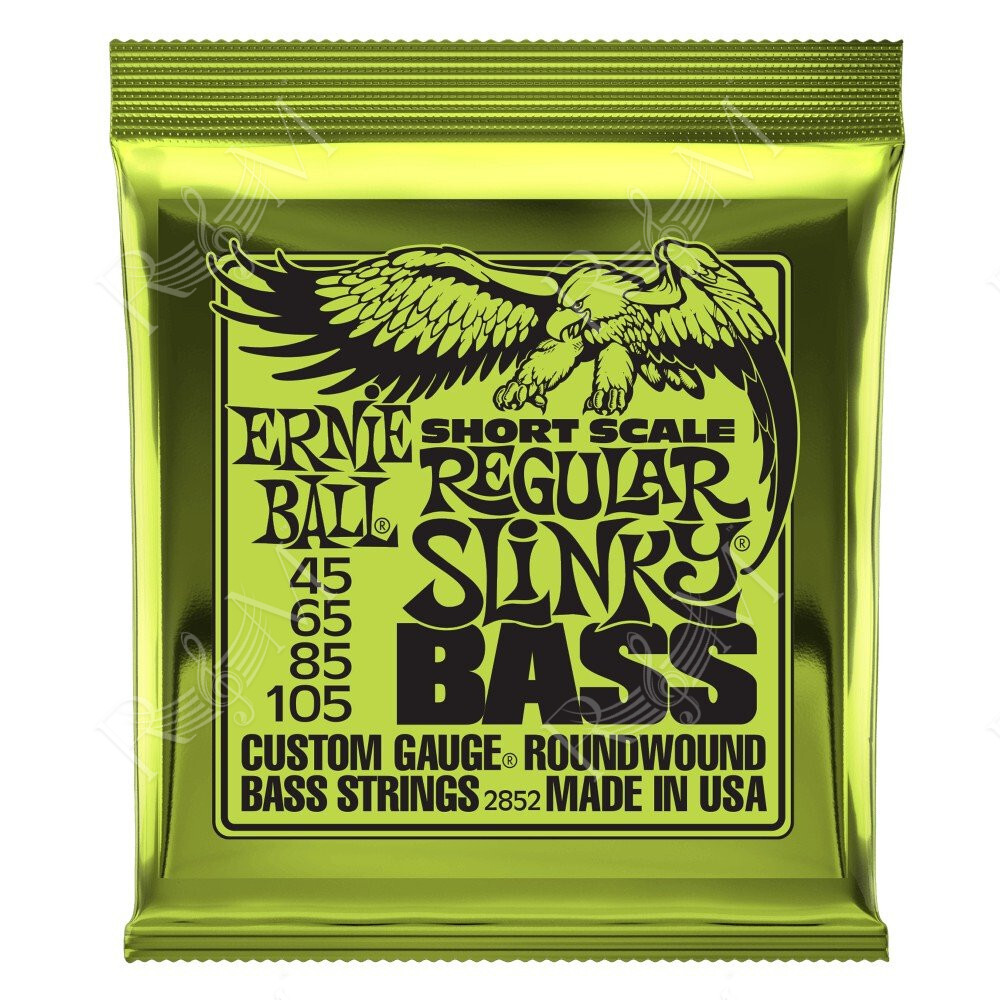 P02852 ERNIE BALL