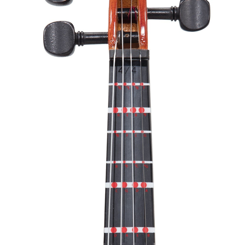 FG501-18 SOUNDSATION