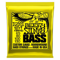 P02840 ERNIE BALL