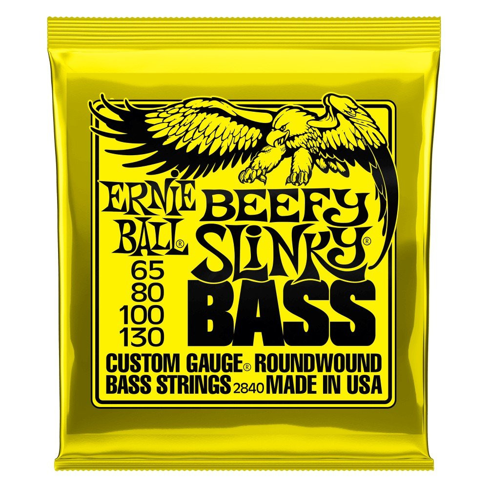 P02840 ERNIE BALL