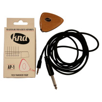 AP-1 KNA