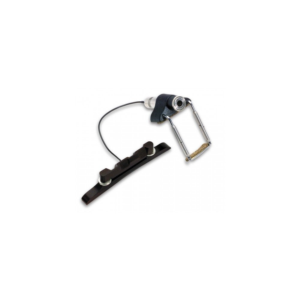 PRO-M20-0MA FISHMAN