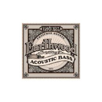 P02070 ERNIE BALL