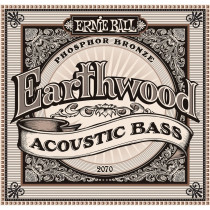 P02070 ERNIE BALL