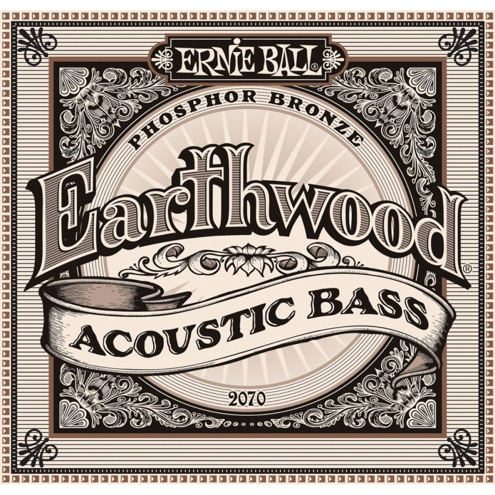 P02070 ERNIE BALL