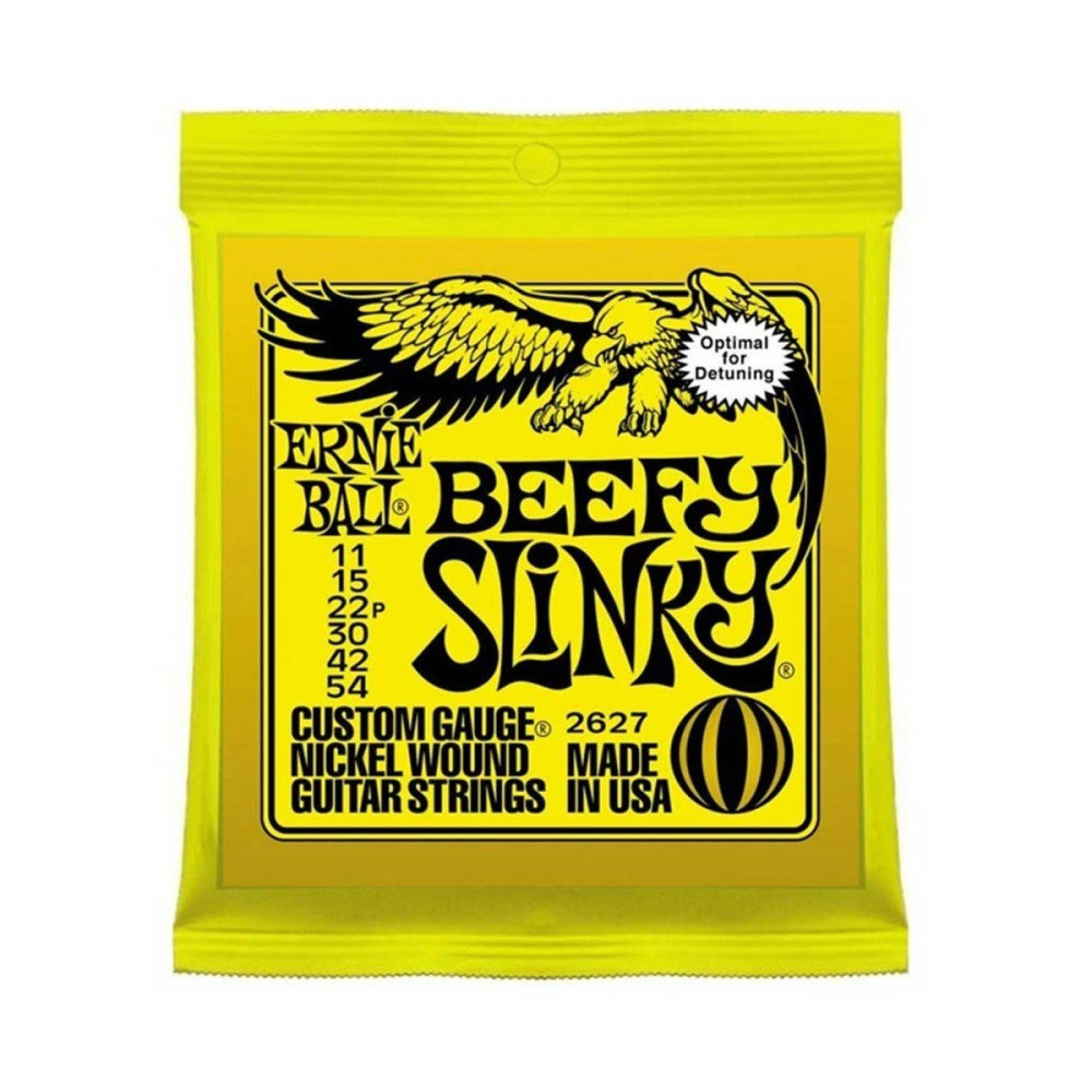 P02627 ERNIE BALL