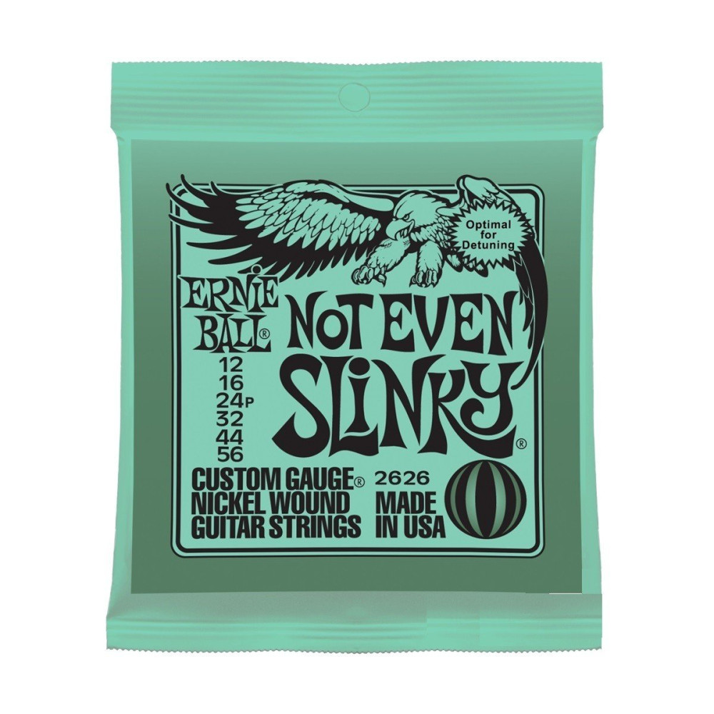 P02626 ERNIE BALL